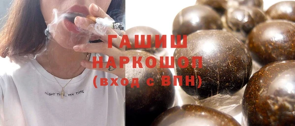 индика Каменка