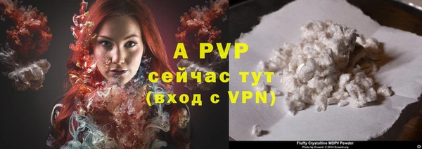 прущие грибы Каменск-Шахтинский