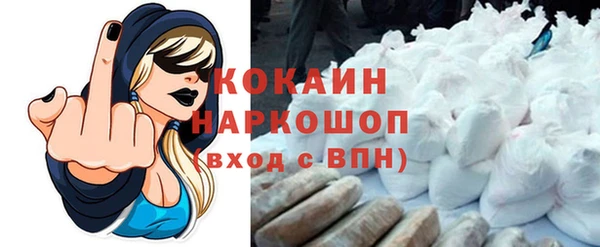 индика Каменка