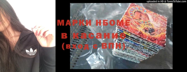 прущие грибы Каменск-Шахтинский