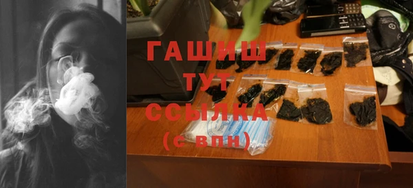 индика Каменка