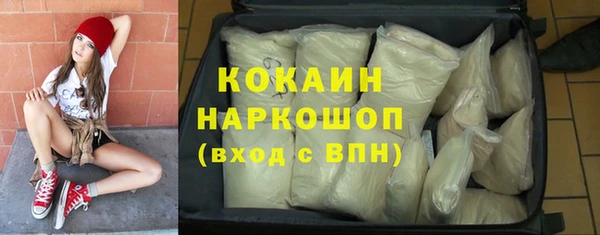 индика Каменка