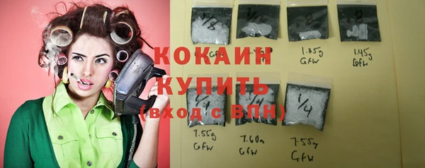 индика Каменка