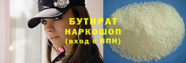 индика Каменка