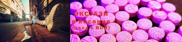 индика Каменка