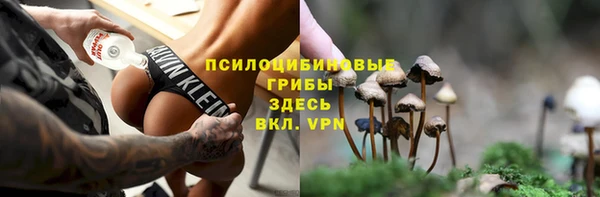 прущая мука Каменногорск