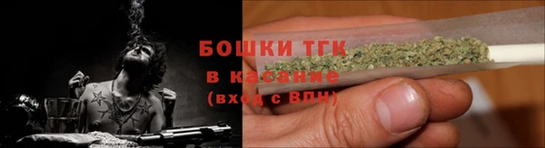 прущие грибы Каменск-Шахтинский