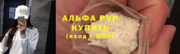 прущие грибы Каменск-Шахтинский