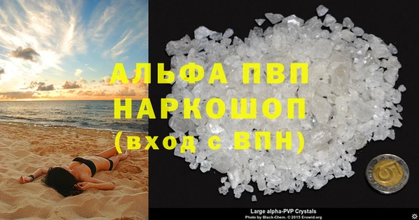 индика Каменка