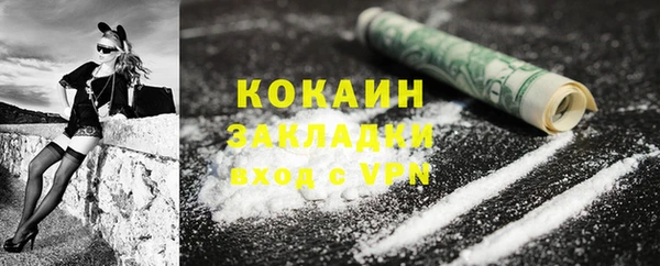 прущие грибы Каменск-Шахтинский
