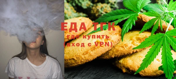 индика Каменка