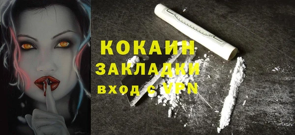 прущие грибы Каменск-Шахтинский