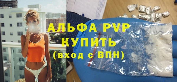 прущие грибы Каменск-Шахтинский