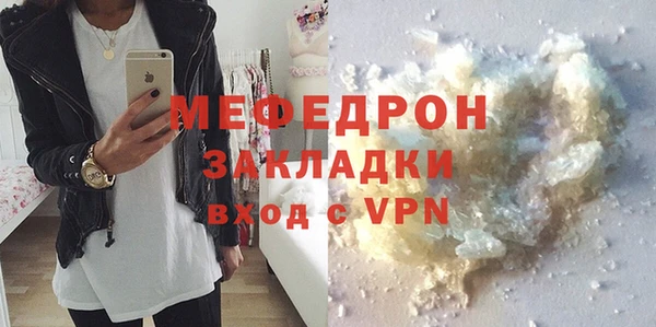 индика Каменка