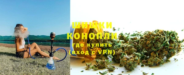 прущие грибы Каменск-Шахтинский