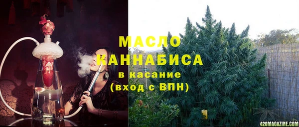 индика Каменка