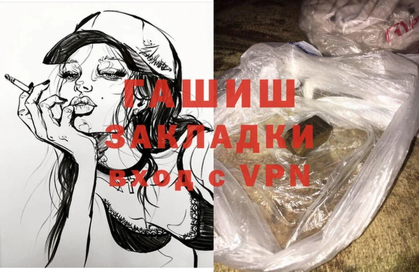 индика Каменка