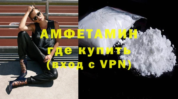 индика Каменка
