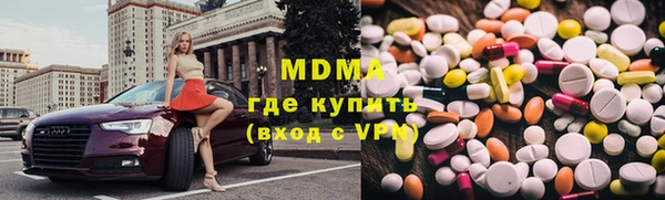 индика Каменка