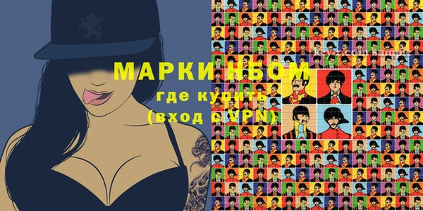 индика Каменка