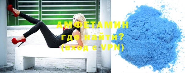 индика Каменка