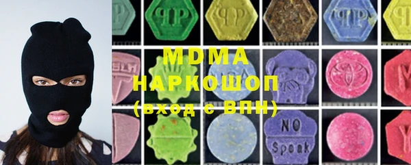 индика Каменка