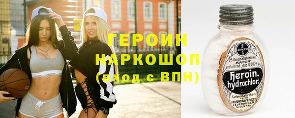 индика Каменка