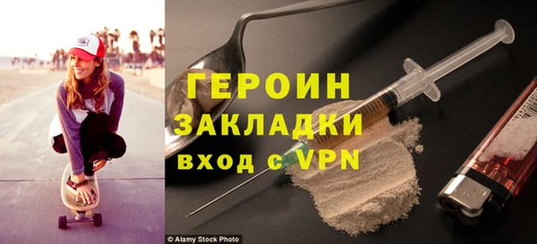индика Каменка