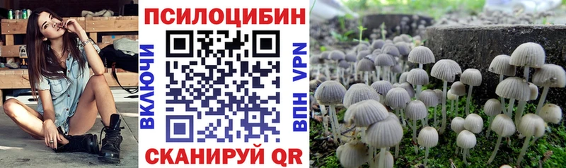 Купить где  Камбарка  Псилоцибиновые грибы мухоморы 