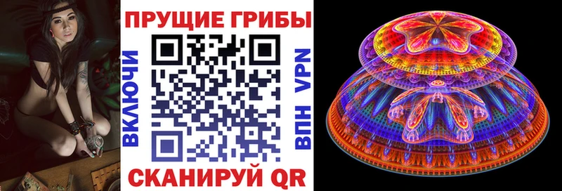 Галлюциногенные грибы Magic Shrooms Камбарка